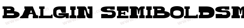 Balgin SemiBoldSmExp字体转换